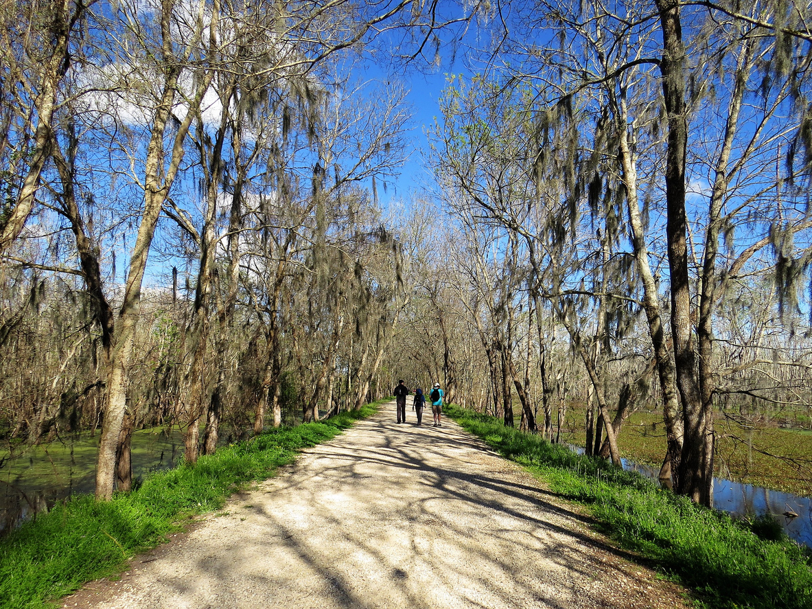 A walking trail in Brazos Bend State Park