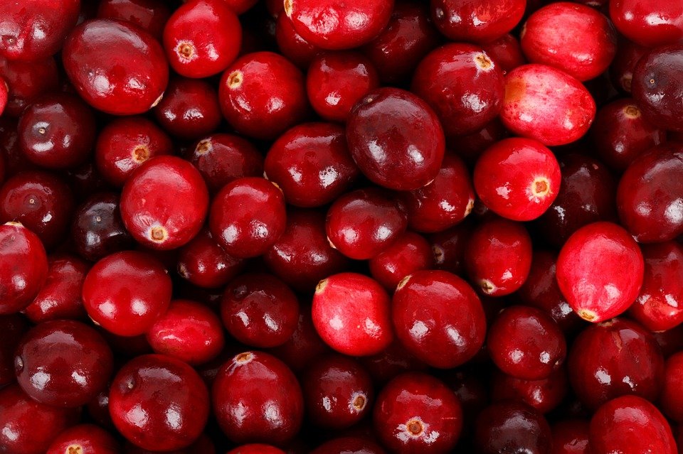 Cranberry Products