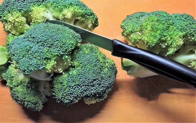 broccoli-superfood