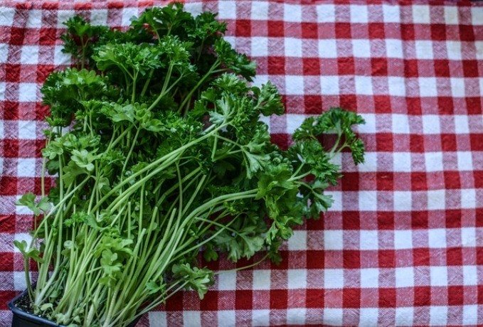 parsley-superfood