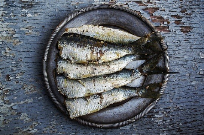 sardines-superfood