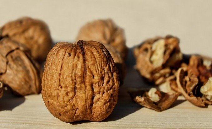 walnut-superfood