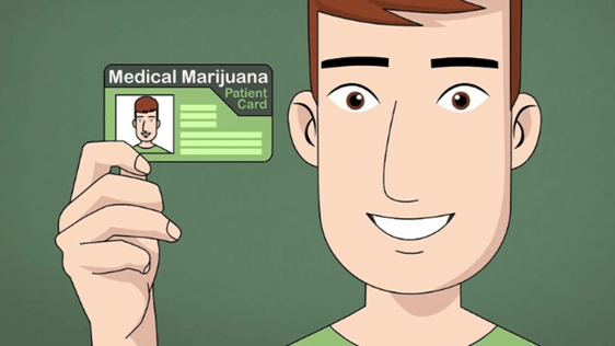 Things You Need to Know About Using Marijuana in Maryland