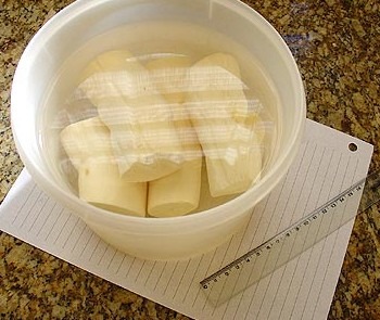 Peeled cassava root being soaked in water