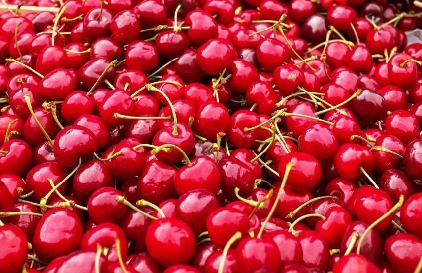 a bunch of red cherries