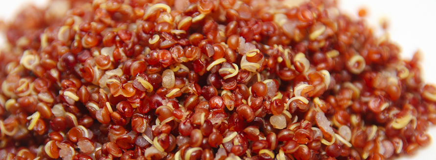 Red Quinoa Salad: Texas de Brazil Style