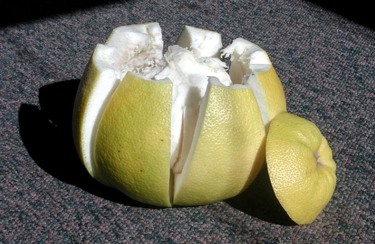 Pomelo after being cut