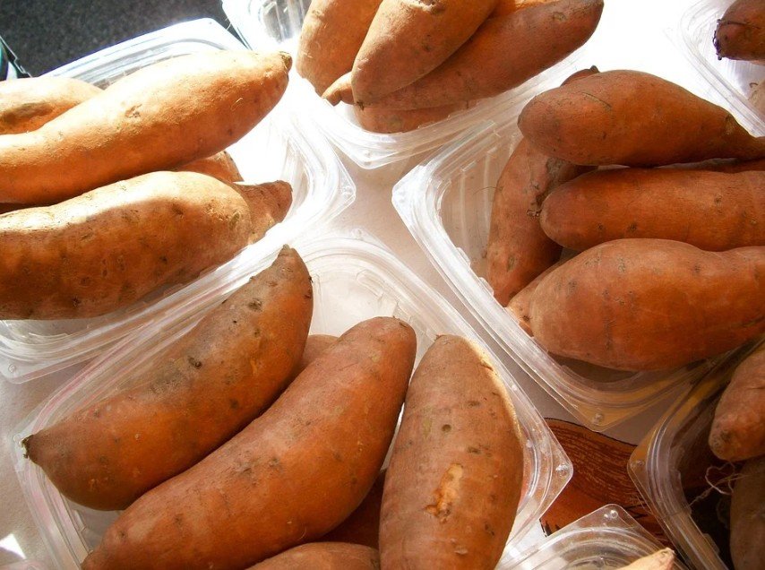 Orangish-brown sweet potatoes in small containers under partial sunlight