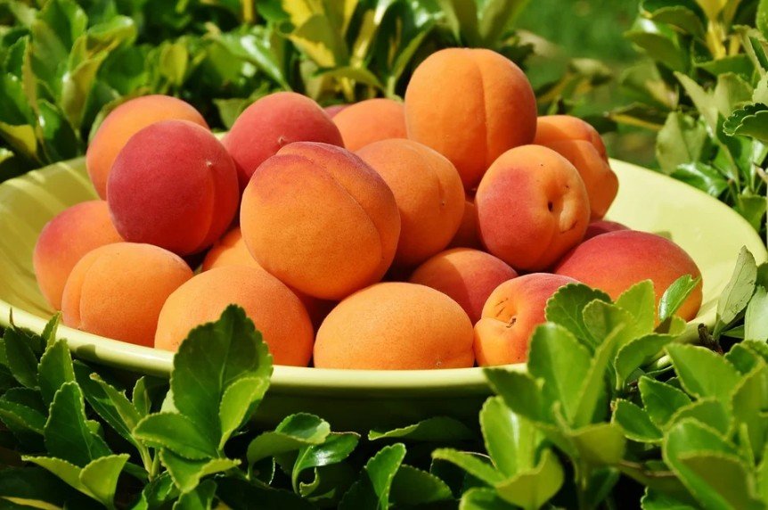 a bunch of apricots in a plate