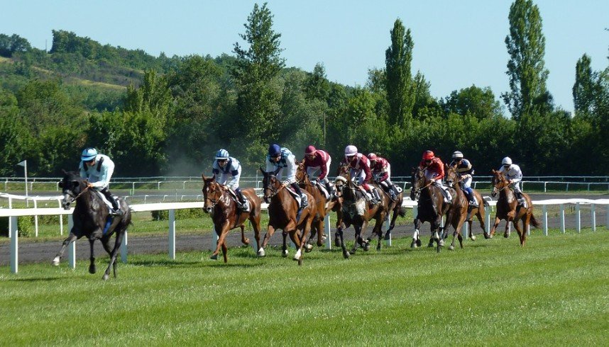horseraces for betting