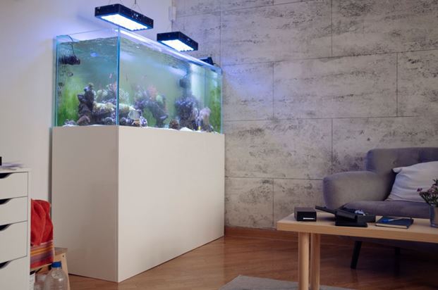 plexiglass aquarium
