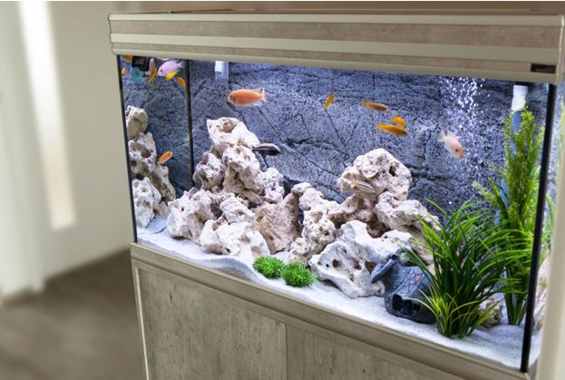 traditional plexiglass aquariums