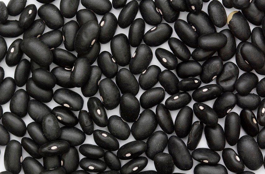 Close up picture of Black Turtle Bean