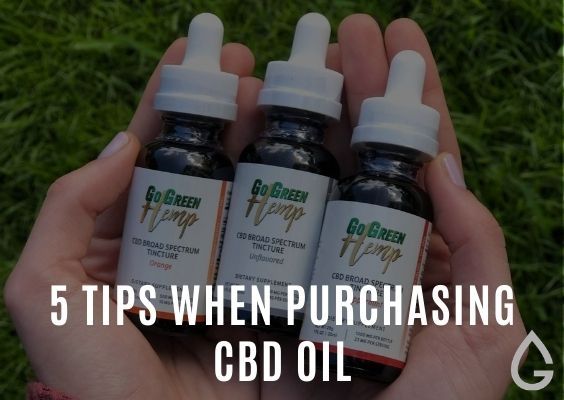 5 Tips When Buying CBD Products Online