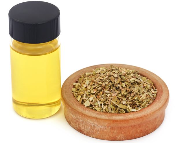 Oregano Oil with leaves.