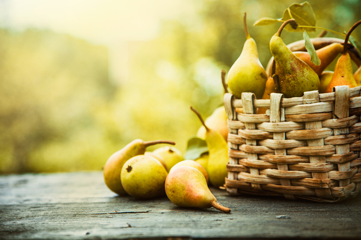 A basket full of pears