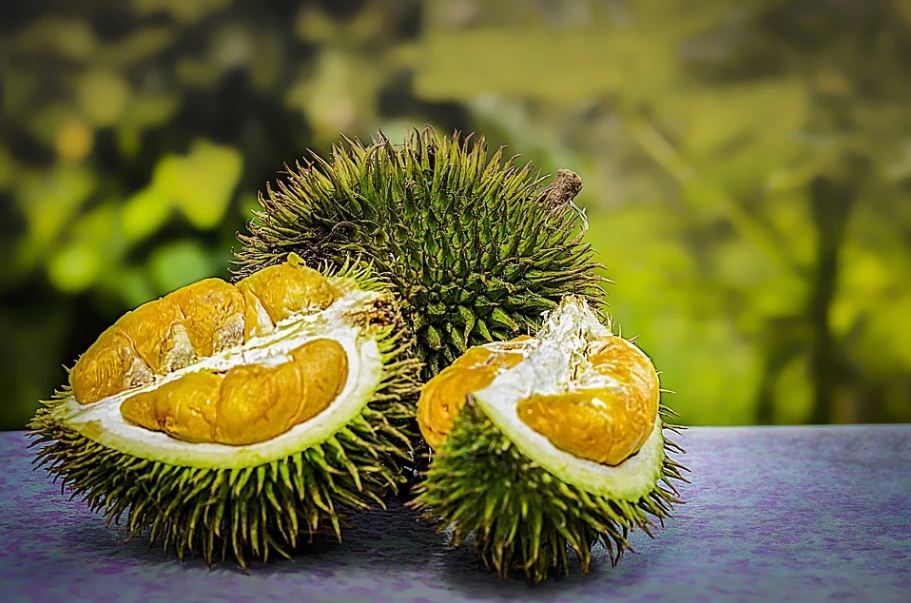 An image of Durian from inside out