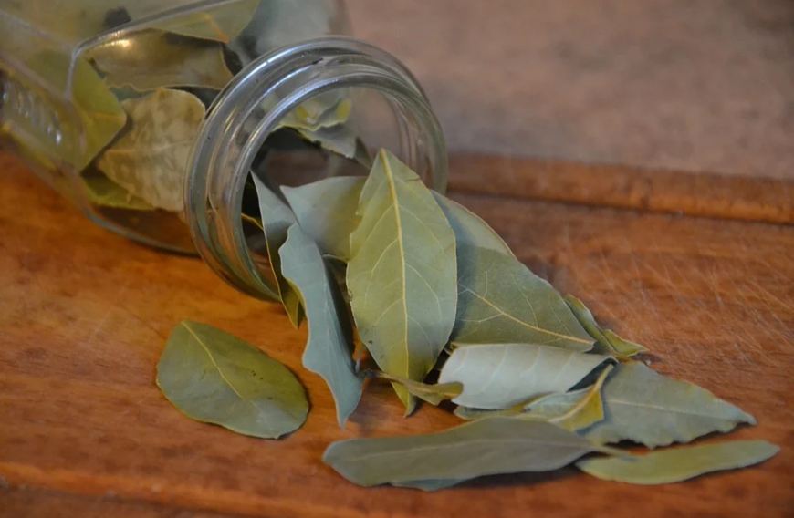 Bay leaves out of a jar