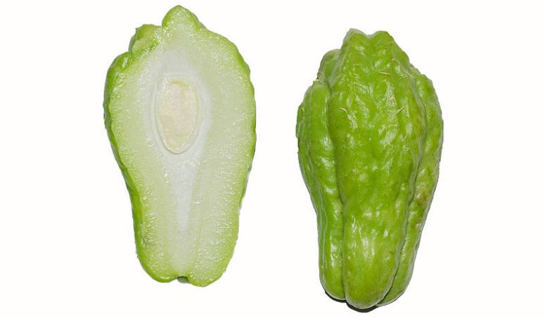 Chayote_cross_section_BNC