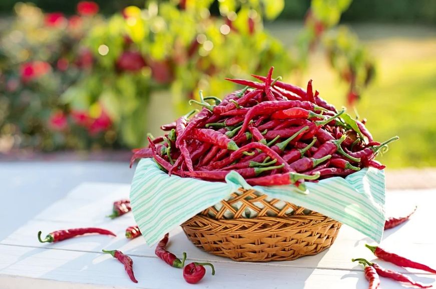 Chili peppers in the basket