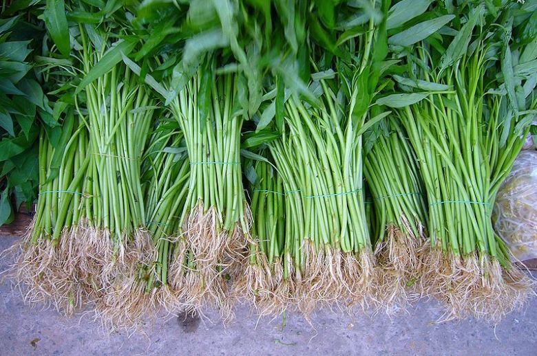 OngChoy water spinach