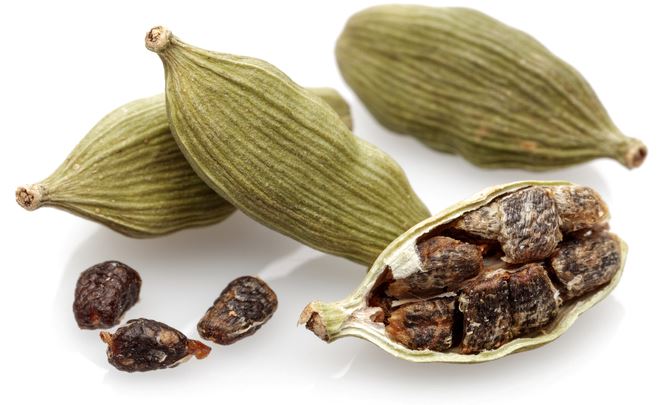 What is Cardamom