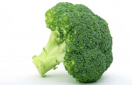 appetite_broccoli_brocoli_broccolli_calories_catering_colorful