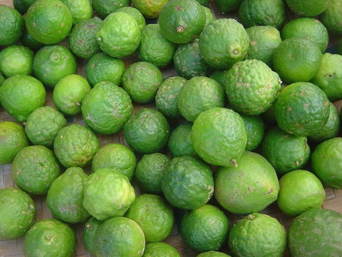 large number of kaffir limes.