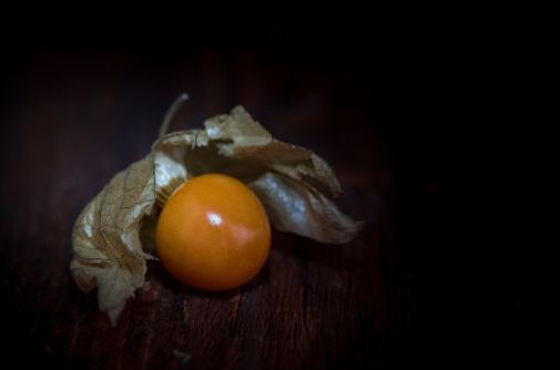 physalis_peruviana_cape_gooseberry_andes_cherry