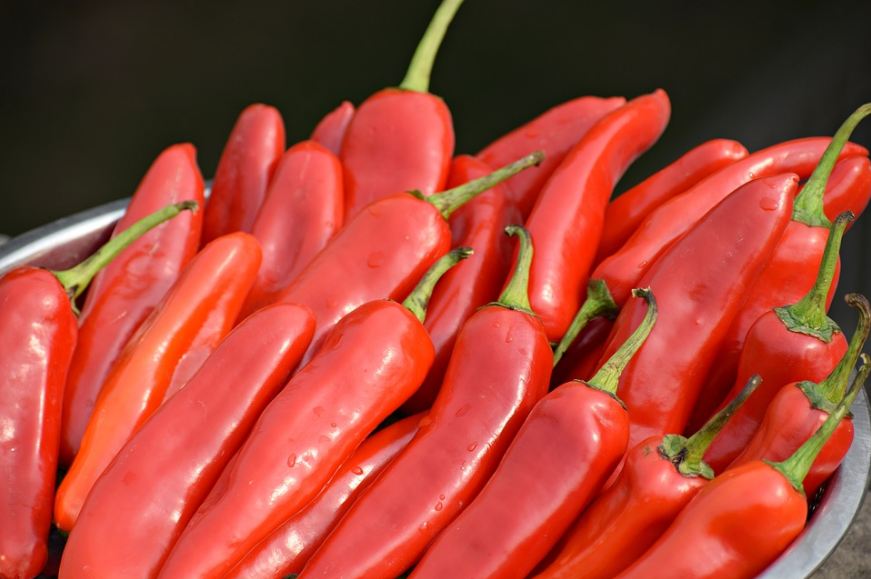 red-chilies-food-pepper-chilli