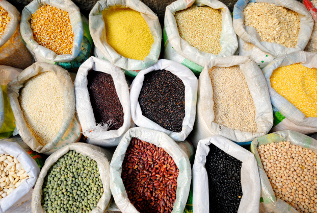 Image of grains and legumes.