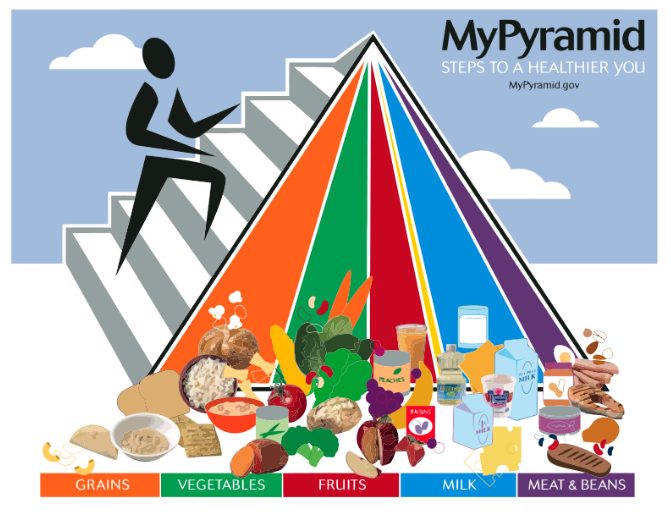 Picture of My-Pyramid released in 2005.