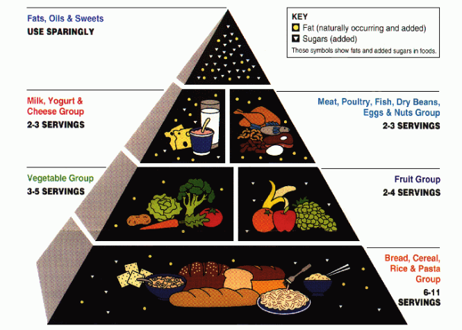 a Food guide pyramid with labeling.
