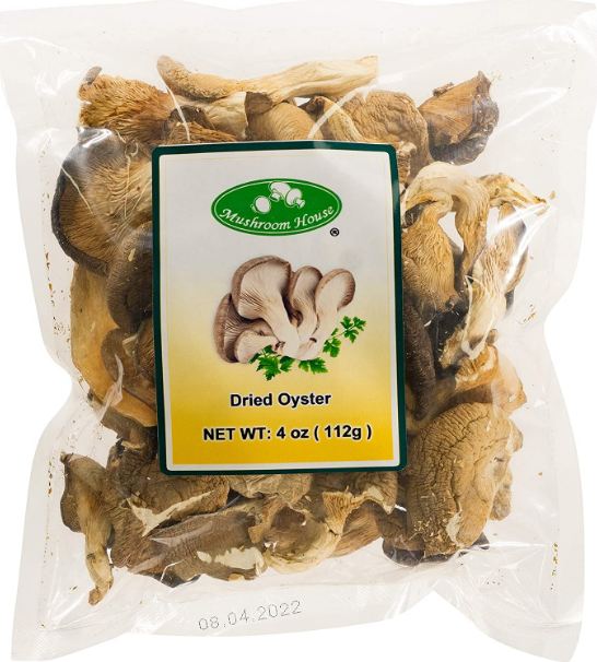 Oyster Mushrooms. 