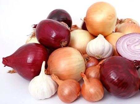 Different types of onion. 