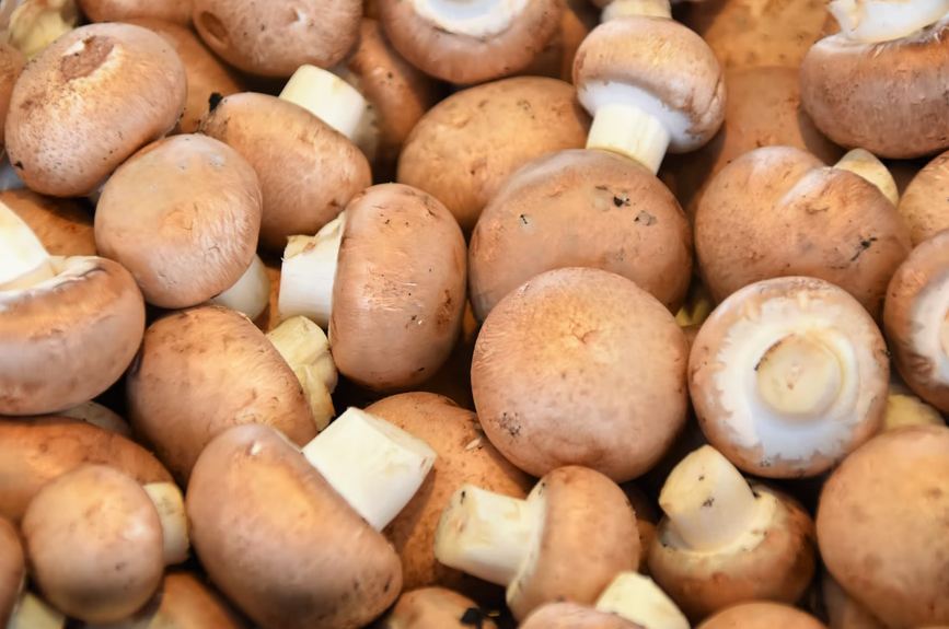 Tips Before Cooking Mushrooms