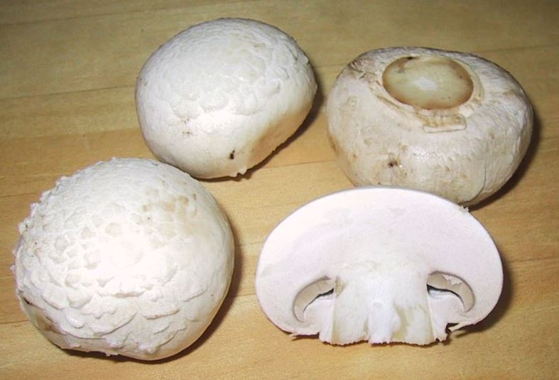Button Mushrooms 