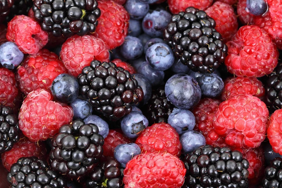 berries-fruits-food-blackberries