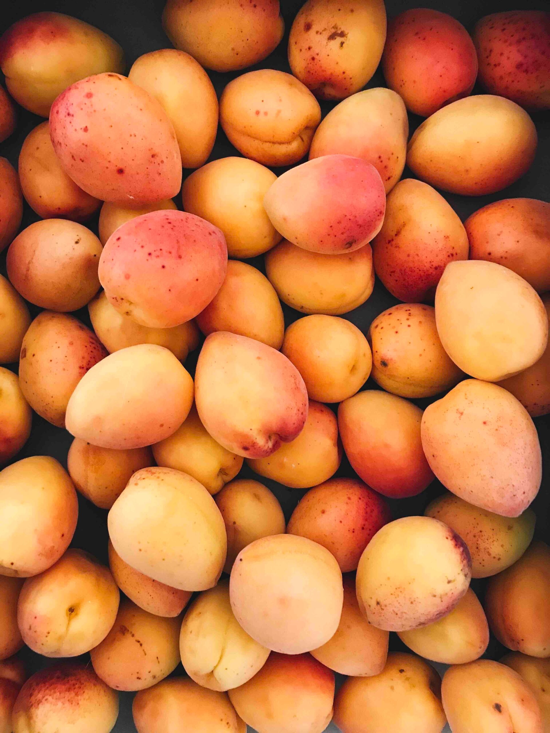 apricots-with-yellow-to-pink-color