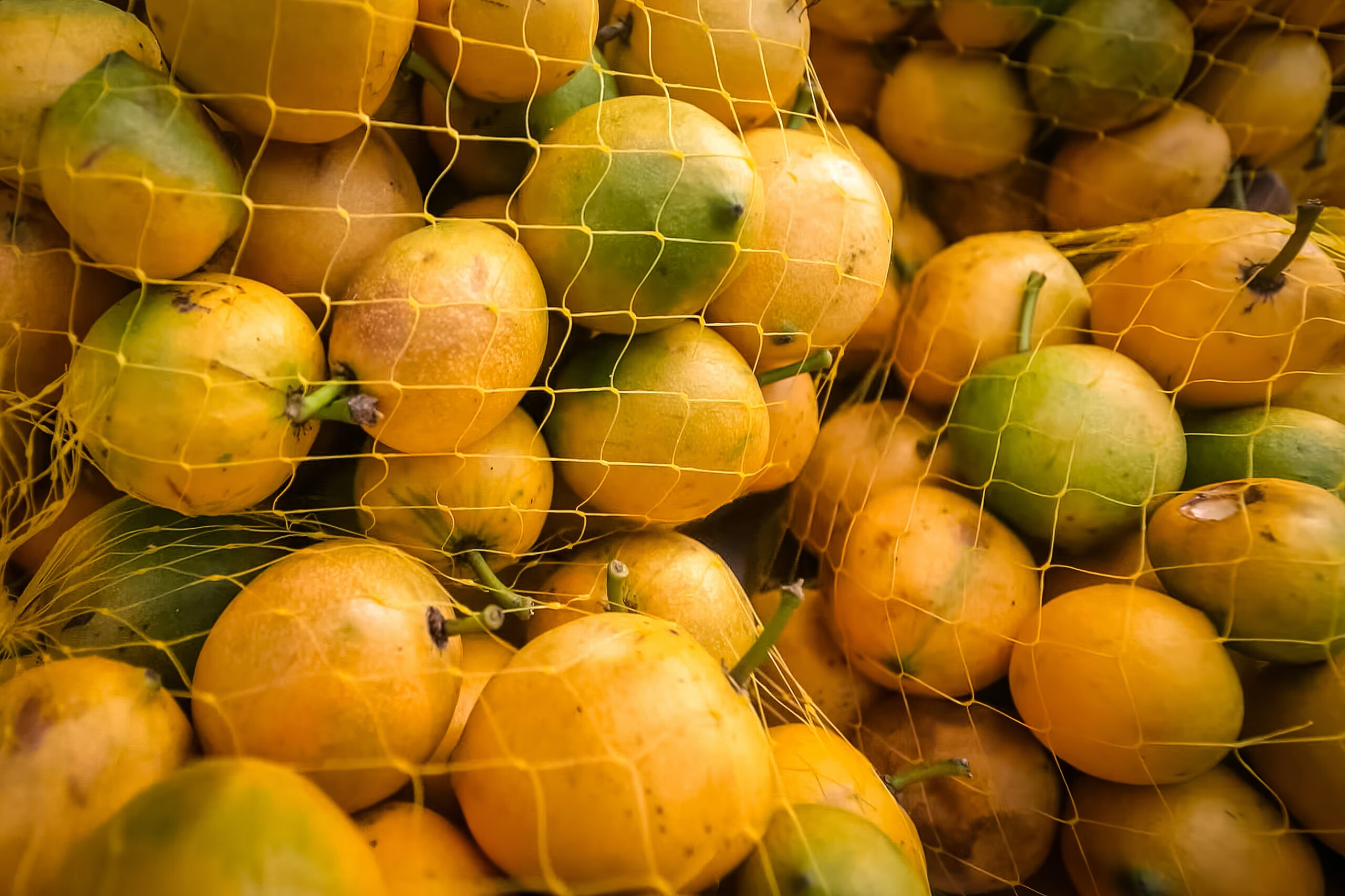 passion-fruits-in-net