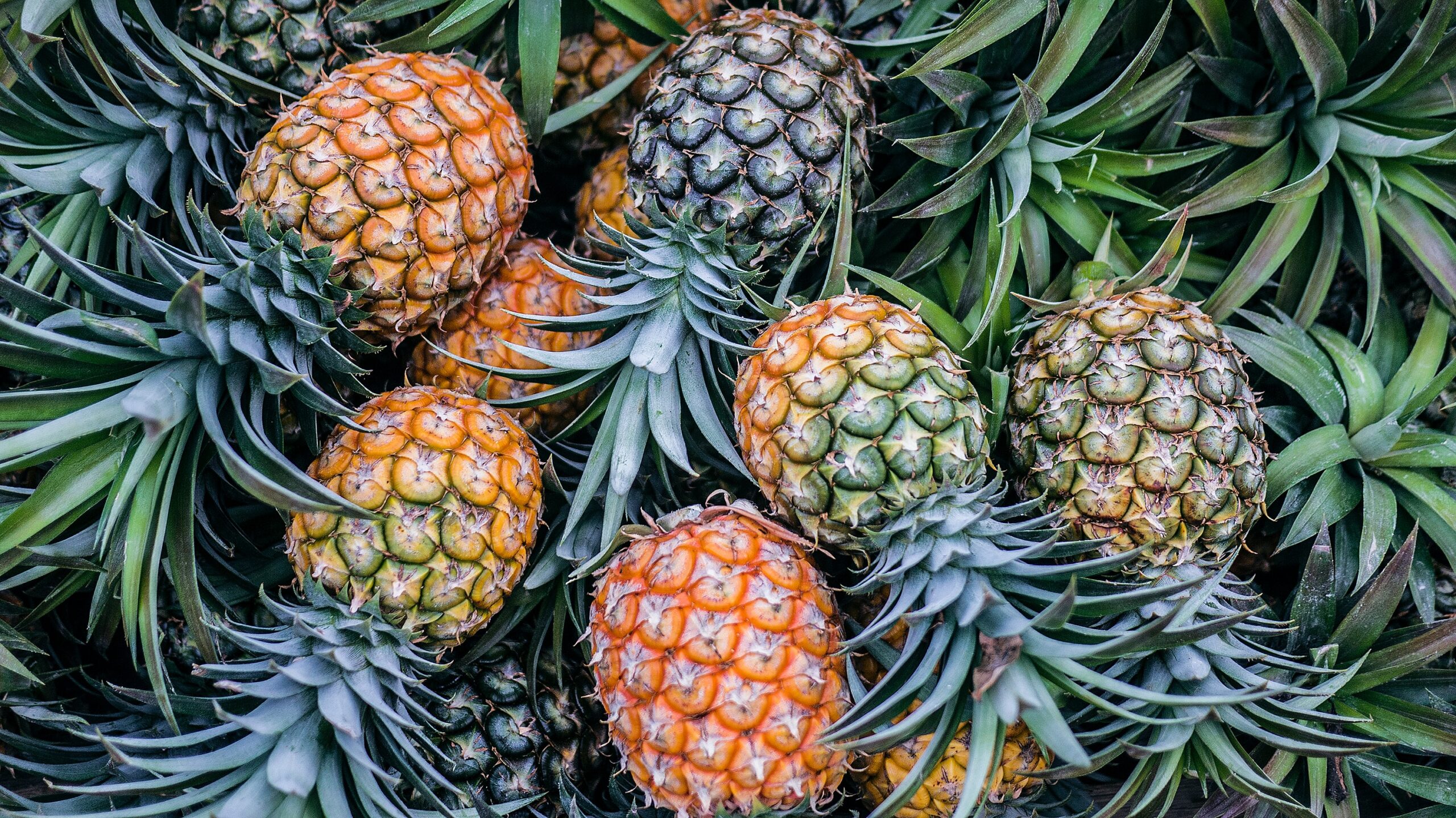 pineapples-stacked
